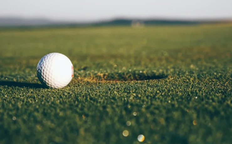 a golf nearing a hole on the golf course