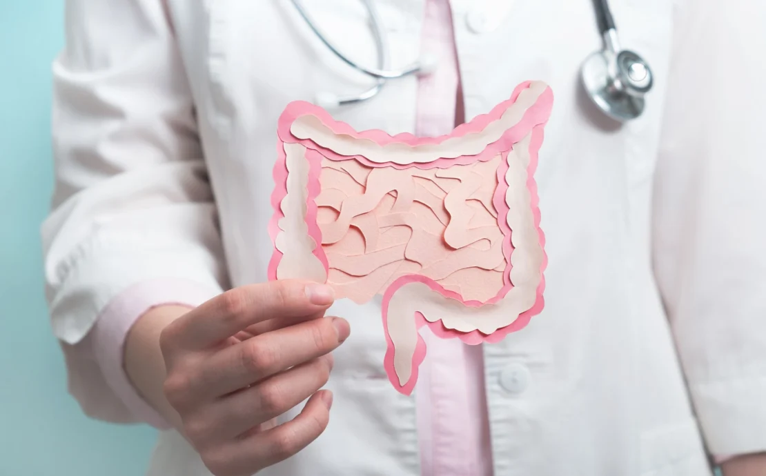 Doctor holding up modeled instestine