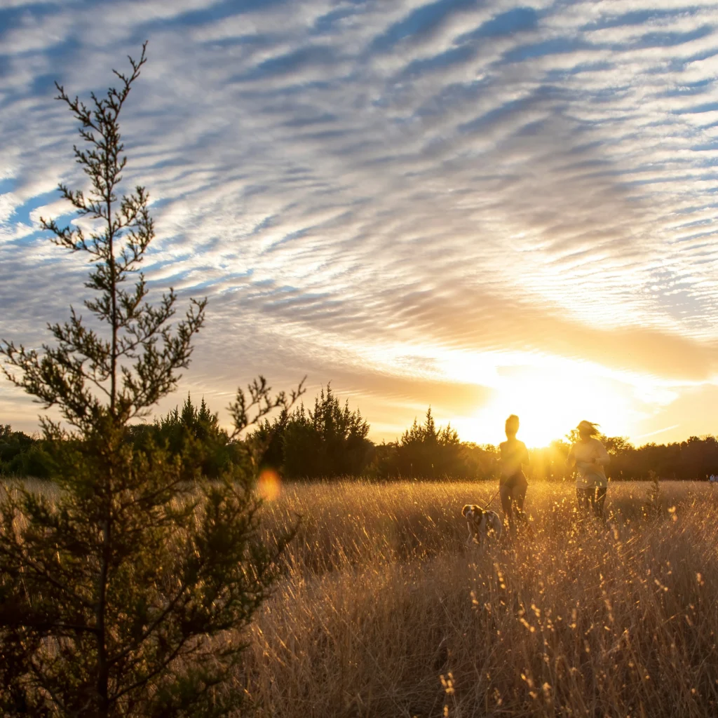 people in field at sunset with dog