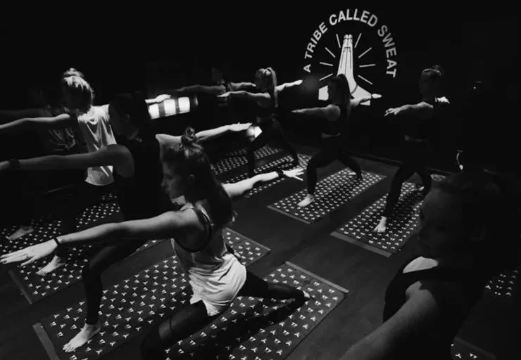 the Y7 studio experience
